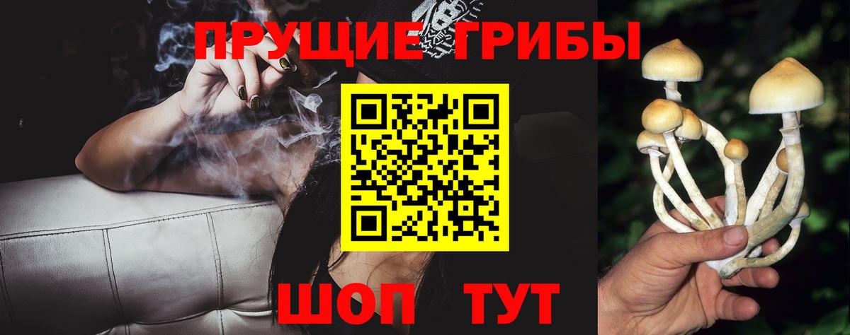 Псилоцибиновые грибы Magic Shrooms  Галлюциногенные грибы ЛСД  Вход с VPN  закладка  Кстово 